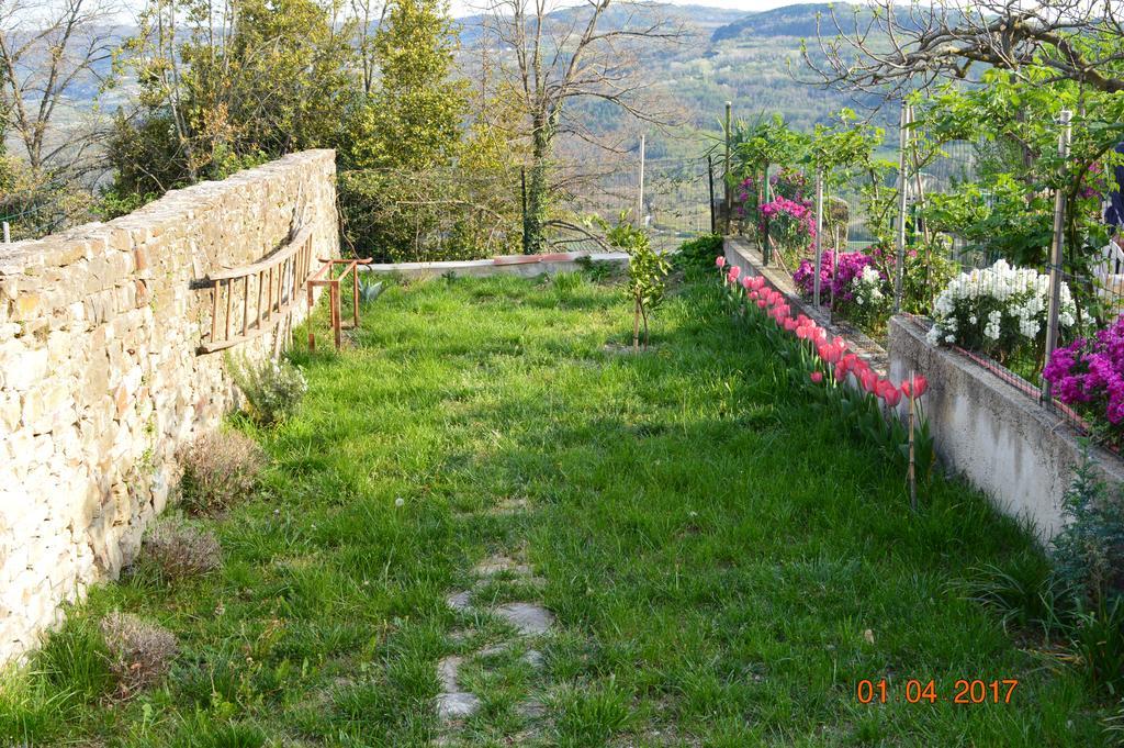 House Of Veli Joze Villa Motovun Buitenkant foto